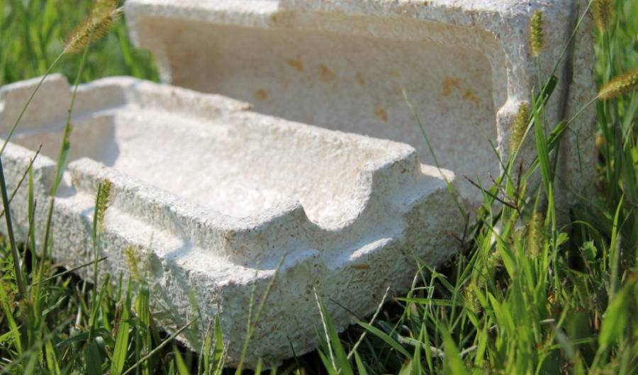 ESHL4 (V5) – El papel de los hongos en la economía circular